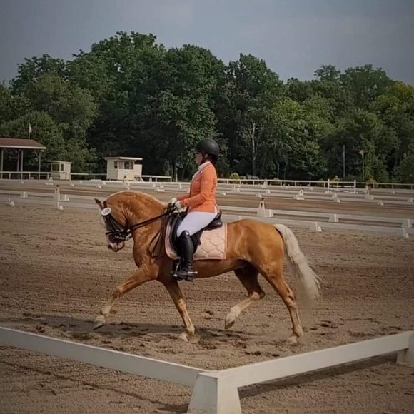 Meet your Posher, Amanda - Picture 2 of 7